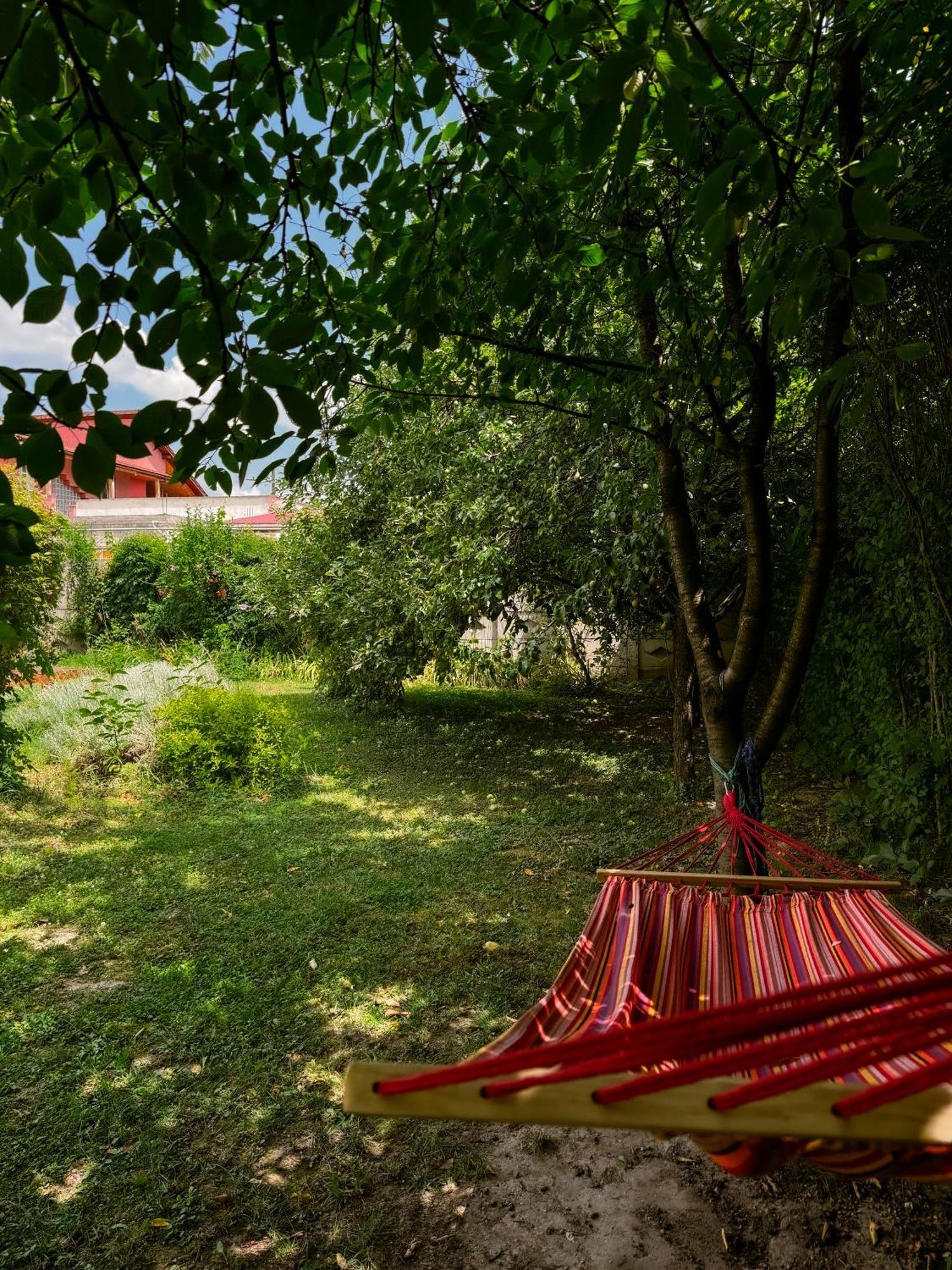 Pensiunea Vila Silva I Haţeg Exteriör bild