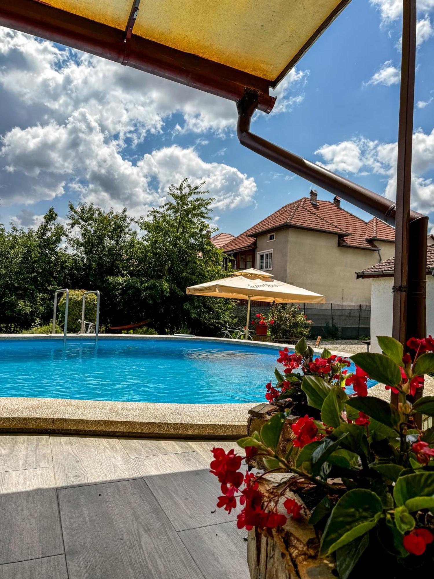 Pensiunea Vila Silva I Haţeg Exteriör bild