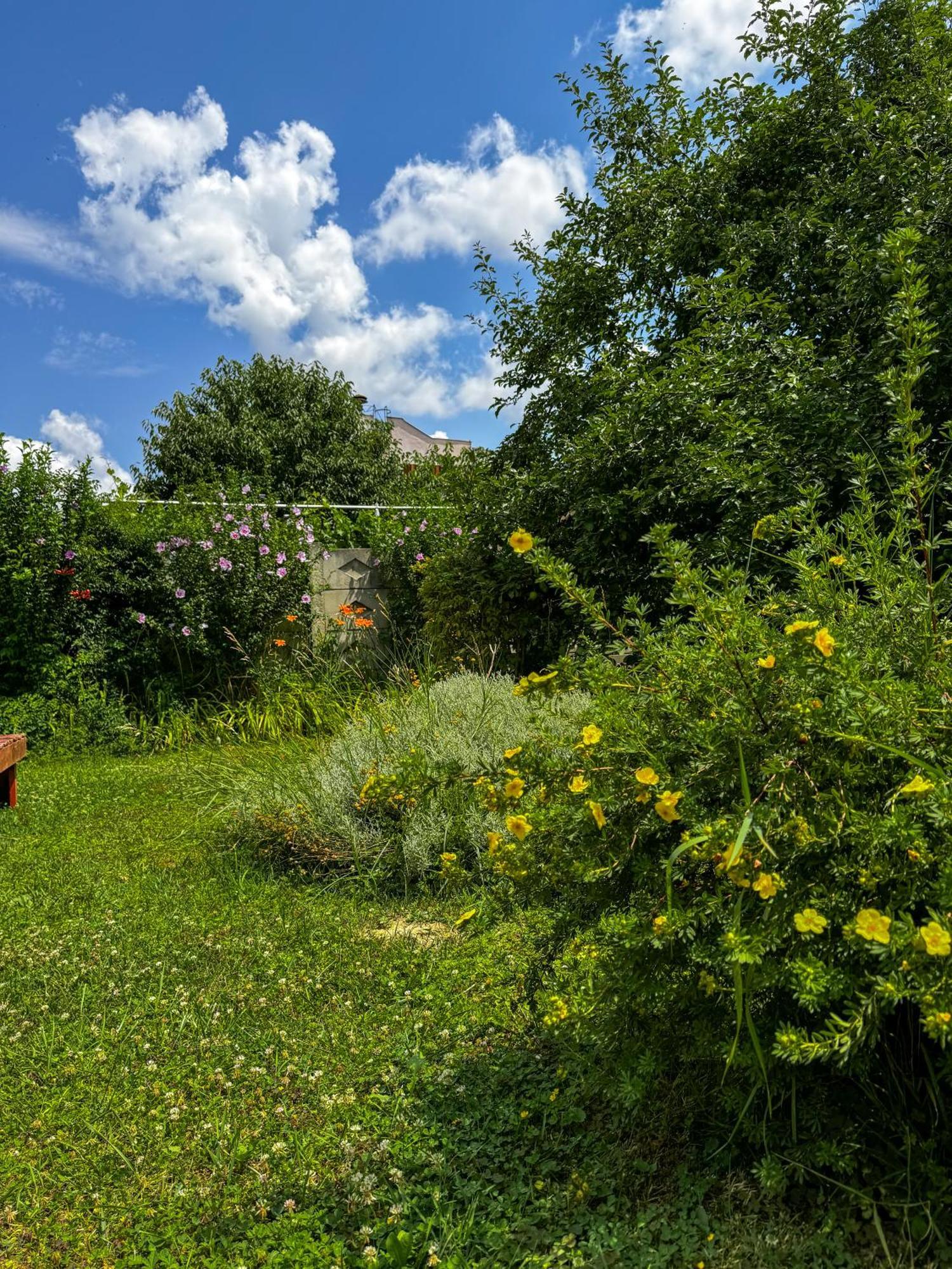 Pensiunea Vila Silva I Haţeg Exteriör bild